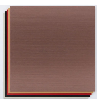 Creality Láminas de ABS Bicolor para Falcon Series (20 uds.)