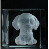 Cubos de Cristal Transparente Falcon K9 (4 uds.)